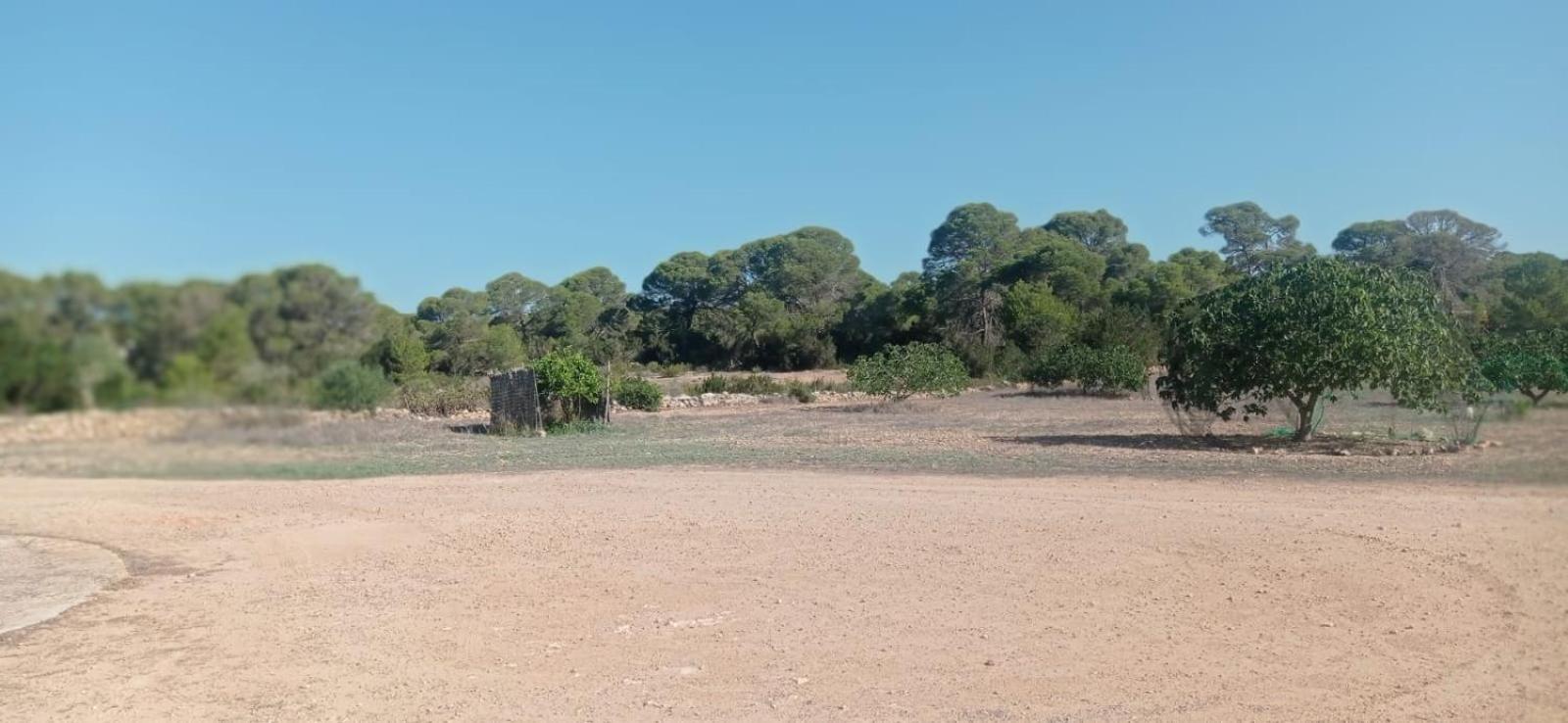 Estudio Cala Saona Exteriér fotografie